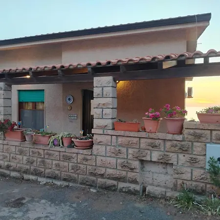 Micki's House